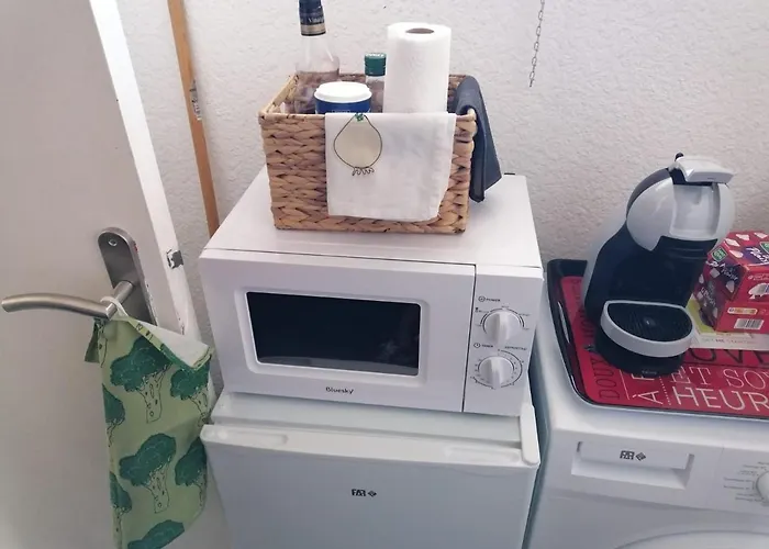 Joli Bord De Mer, Clim, Balcon, Parking Prive Διαμέρισμα Μεντόν